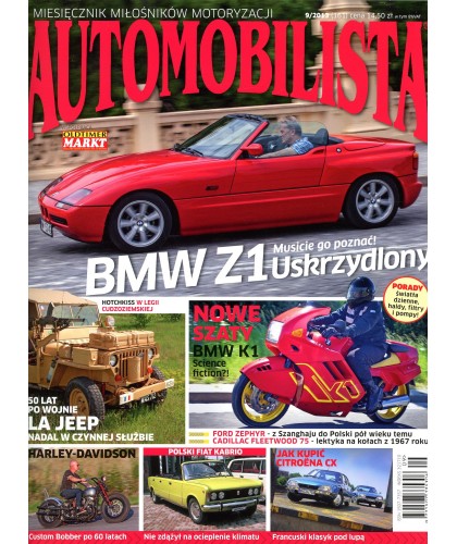 Automobilista 9/2013 (161)